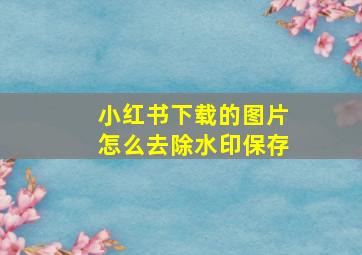 小红书下载的图片怎么去除水印保存