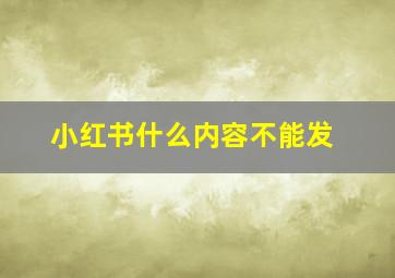 小红书什么内容不能发