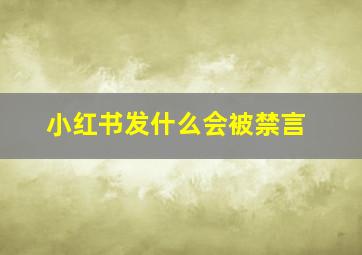 小红书发什么会被禁言