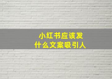 小红书应该发什么文案吸引人