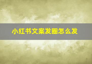 小红书文案发圈怎么发