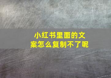 小红书里面的文案怎么复制不了呢