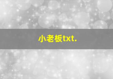 小老板txt.