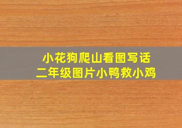 小花狗爬山看图写话二年级图片小鸭救小鸡