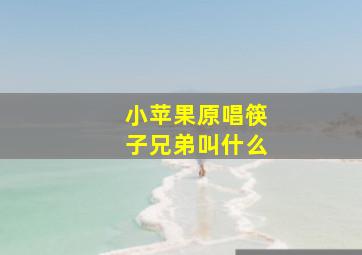 小苹果原唱筷子兄弟叫什么