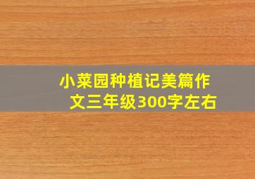 小菜园种植记美篇作文三年级300字左右