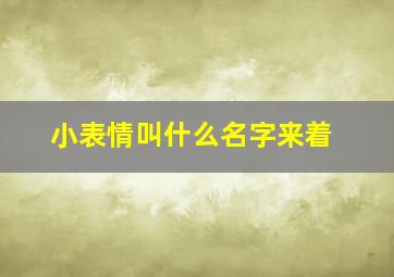 小表情叫什么名字来着