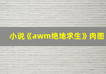 小说《awm绝地求生》肉图