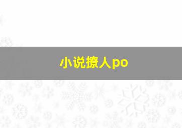 小说撩人po