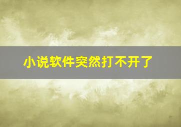 小说软件突然打不开了