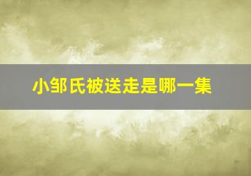 小邹氏被送走是哪一集