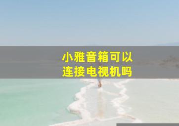 小雅音箱可以连接电视机吗