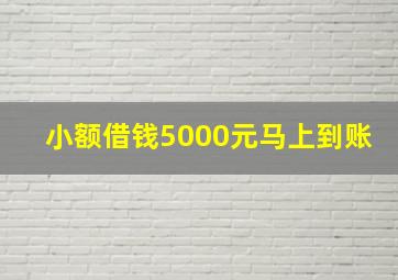 小额借钱5000元马上到账