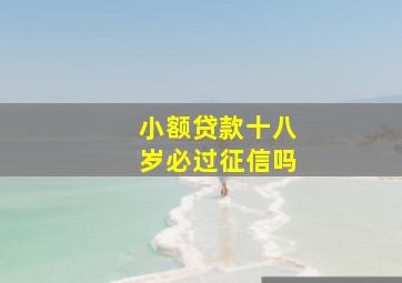 小额贷款十八岁必过征信吗