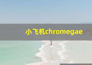 小飞机chromegae