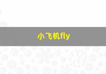 小飞机fly