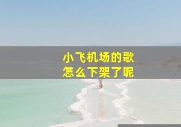 小飞机场的歌怎么下架了呢