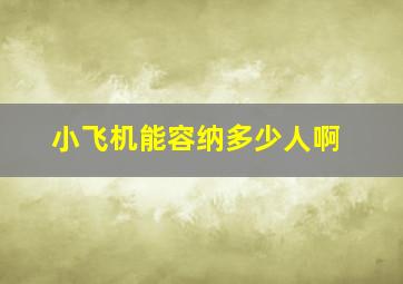 小飞机能容纳多少人啊