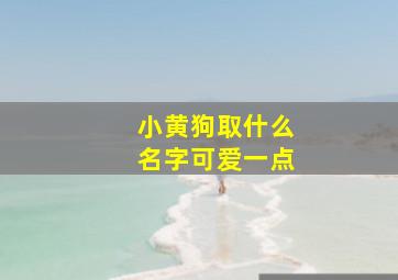 小黄狗取什么名字可爱一点