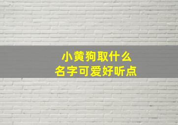 小黄狗取什么名字可爱好听点