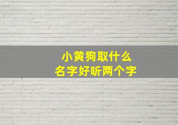 小黄狗取什么名字好听两个字