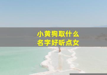 小黄狗取什么名字好听点女