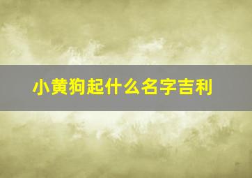 小黄狗起什么名字吉利