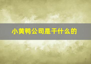 小黄鸭公司是干什么的