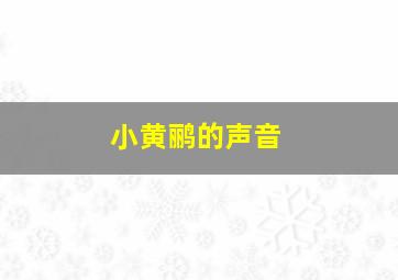 小黄鹂的声音