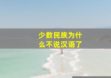 少数民族为什么不说汉语了