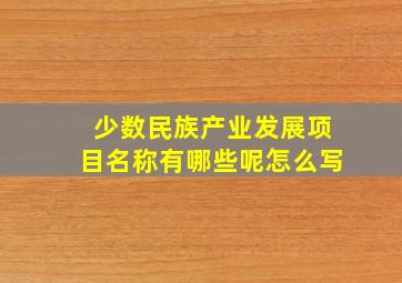 少数民族产业发展项目名称有哪些呢怎么写