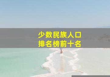 少数民族人口排名榜前十名