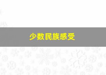 少数民族感受