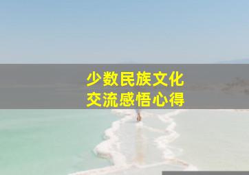 少数民族文化交流感悟心得