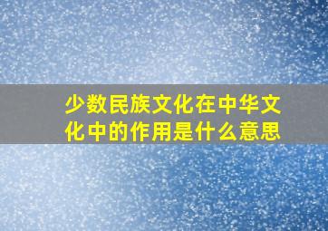 少数民族文化在中华文化中的作用是什么意思