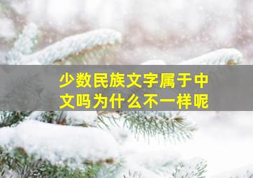 少数民族文字属于中文吗为什么不一样呢