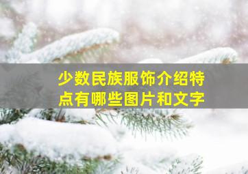 少数民族服饰介绍特点有哪些图片和文字