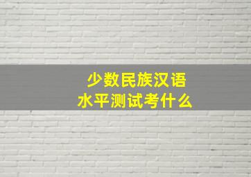 少数民族汉语水平测试考什么