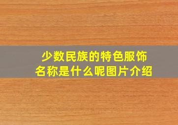 少数民族的特色服饰名称是什么呢图片介绍