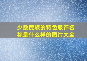 少数民族的特色服饰名称是什么样的图片大全