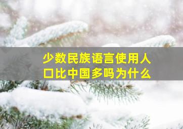 少数民族语言使用人口比中国多吗为什么