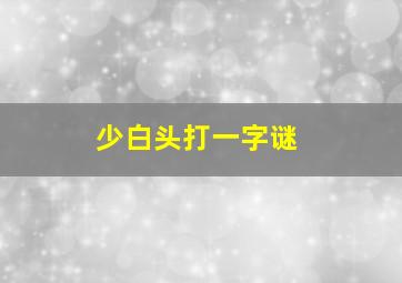 少白头打一字谜