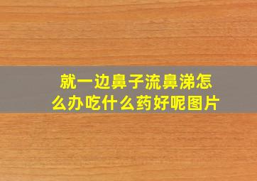 就一边鼻子流鼻涕怎么办吃什么药好呢图片