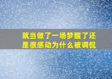 就当做了一场梦醒了还是很感动为什么被调侃