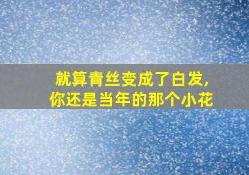 就算青丝变成了白发,你还是当年的那个小花