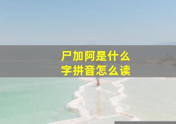 尸加阿是什么字拼音怎么读