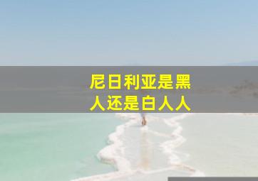 尼日利亚是黑人还是白人人