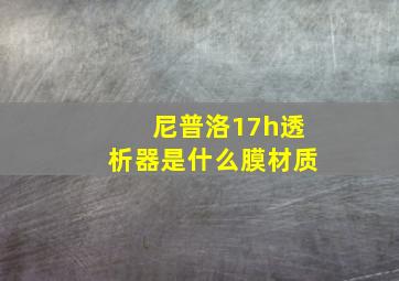 尼普洛17h透析器是什么膜材质