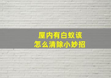 屋内有白蚁该怎么清除小妙招