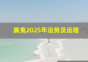 属兔2025年运势及运程